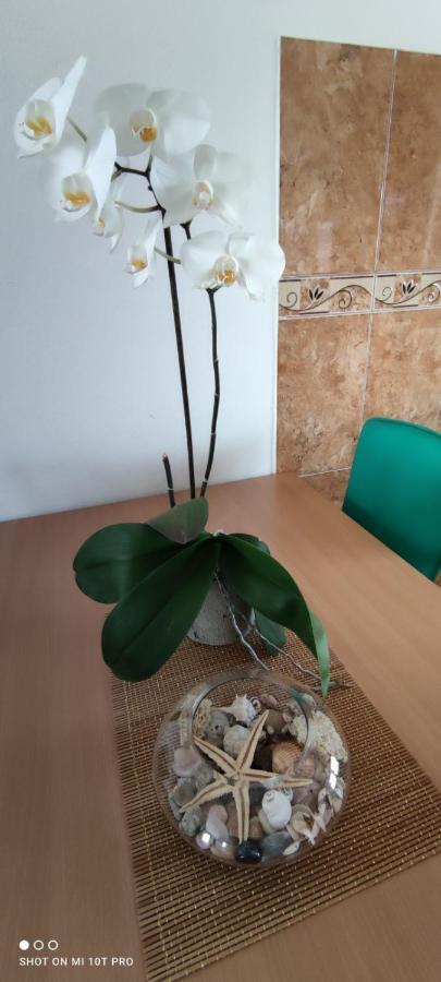 Apartments Tara Улцинь Экстерьер фото